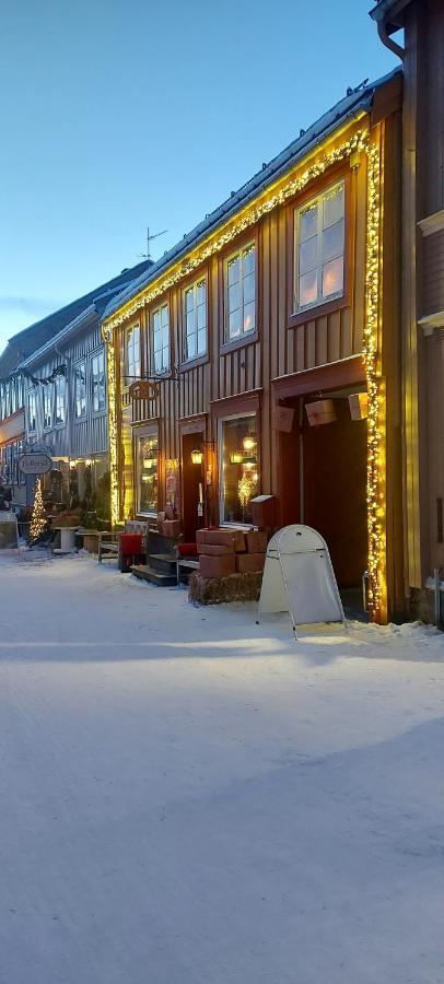 Fantgrenda Overnatting Apartment Os (Hedmark) Exterior photo
